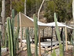 -MOJ coffee(瓯海泽雅水碓坑店)