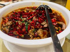 -千灯盛汇·头牌粤菜(致越优城店)