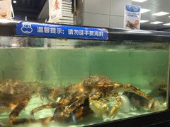 -盒马渔市餐厅