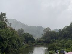 -天强农家菜馆