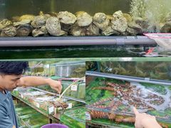 -双天海鲜楼 · 43年老字号
