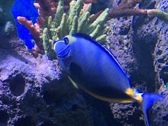 -多彩贵州城极地海洋世界