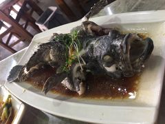 石斑鱼清蒸-四川小胡子海鲜(丁村万人海鲜广场店)