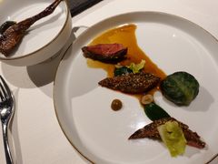 乳鸽-态芮
