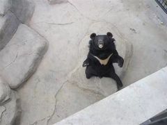 -石家庄市动物园