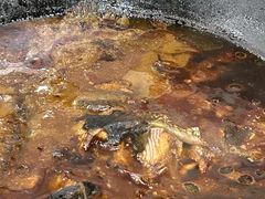 黑鱼-夏家大锅台炖鱼馆