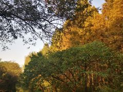 -同里国家湿地公园
