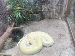 -上海大自然野生昆虫馆(东方明珠·爬宠昆虫探索中心)
