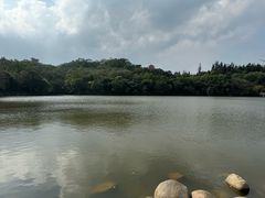 -深圳仙湖植物园