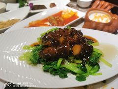 素海参扒菜心-功德林(南京西路店)