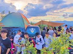-长虫山生态公园风景林