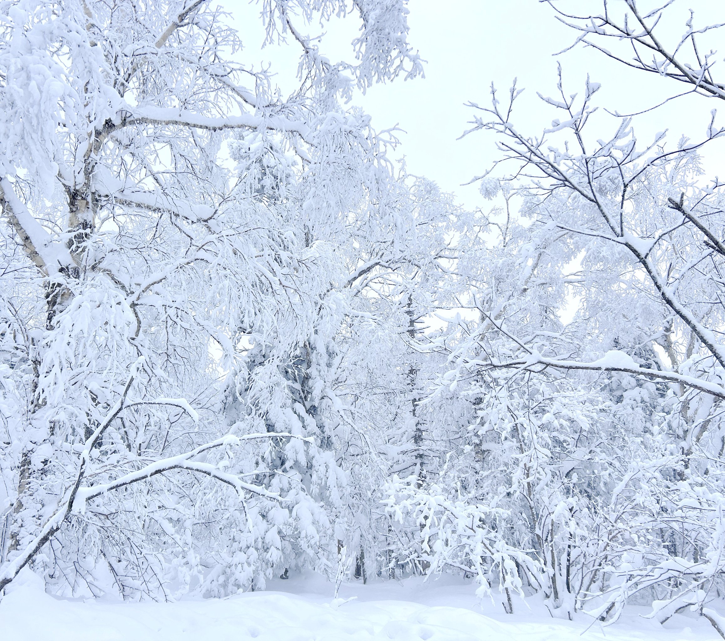 十里冰雪画廊图片