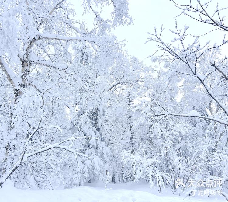 冰雪画廊图片图片