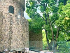 -J Create城市露营咖啡·简餐·宠物(上海动物园店)