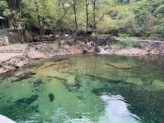 -白云源风景区