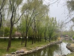 -郑州植物园