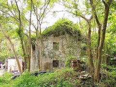 -东平洲海岸公园