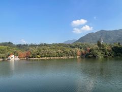 -深圳仙湖植物园