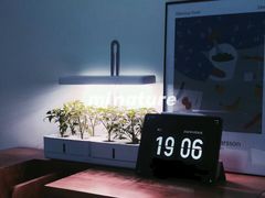 -月星家居(杭州商场店)