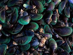 -厦门五通客运码头