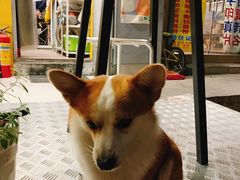 -小梁哥云吞面(黄贝岭店)