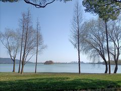 -南湖湿地公园