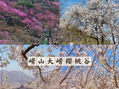 -青岛大珠山景区