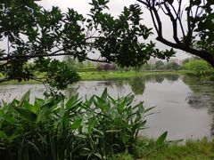 -两河城市森林公园