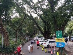 -晓港公园