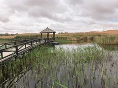 -沙漠世界地质公园