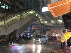 -香港宠物街