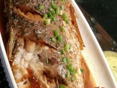 -蒙古大营(朝阳公园店)