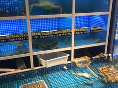 -金龙·打边炉(南京西路店)