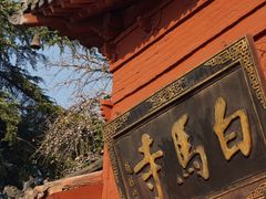 -洛阳白马寺