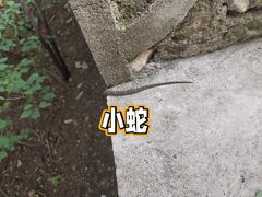 -北京西山国家森林公园