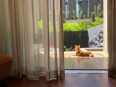 -上海崇明金茂凯悦酒店