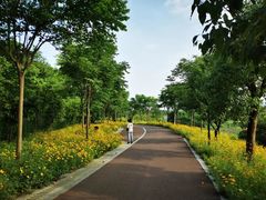 -镇江市南山风景名胜区竹林景区