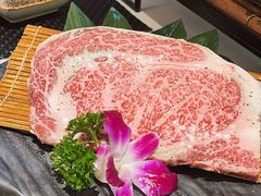 -千寻山野烤肉(中关村店)