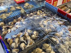 -驻海渔市(置信店)
