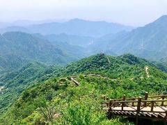 -大岭沟猕猴桃谷风景区