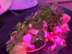 -Hi City·城市之巅