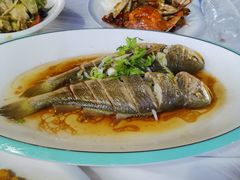 -日照大牌檔•小船海鲜(万平口店)