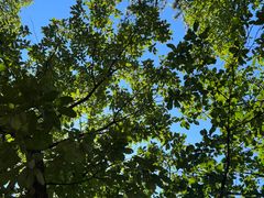 -天津盘山风景名胜区