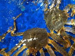 -盒马鲜生(顺义店)