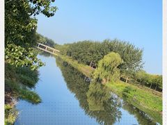 -东郊湿地公园