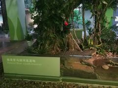 -中国湿地博物馆
