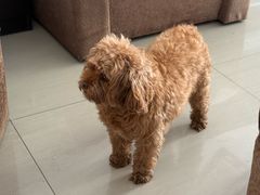 -巧手推拿中心(盲人推拿)