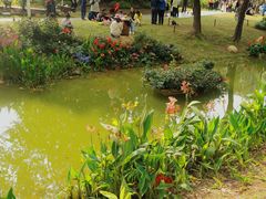 -人民公园(罗湖区)