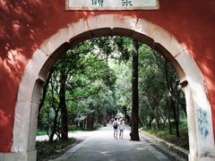 -灵谷景区
