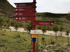 -比如骷髅墙景区